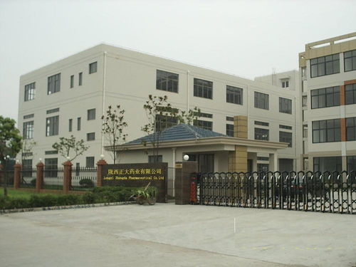 正大企业大学